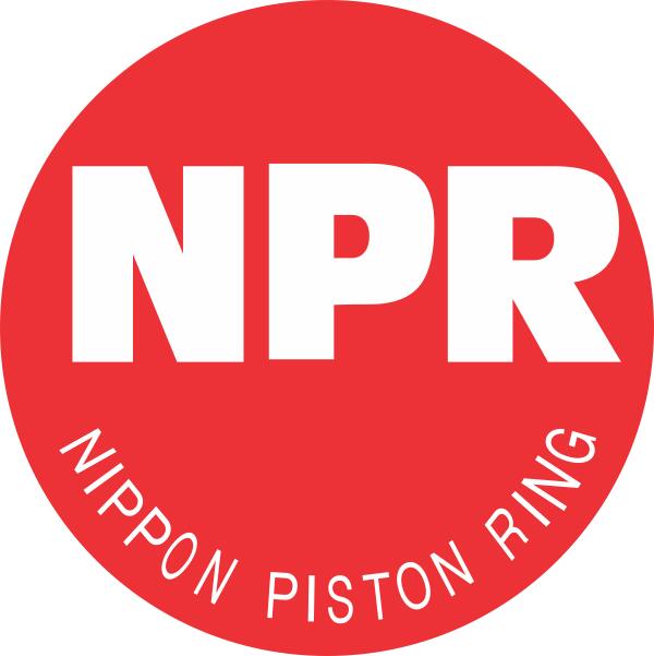Вкладиші шатунні NPR 181 050 0001 21