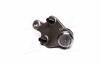 Опора кульова TOYOTA HIGHLANDER GSU4 VENZA LEXUS RX 07-13 LOW R 555 SBT432R (фото 3)
