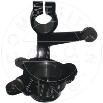 Цапфа AIC 55838