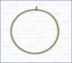 Прокладка впускного коллектора FORD Focus/ Mondeo/ Kuga AJUSA 01110300 (фото 1)