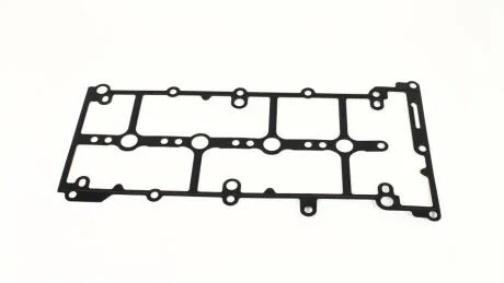 Прокладка клапанної кришки FIAT DOBLO (10-), DUCATO (11-) 1.6, 2.0d AJUSA 11116300
