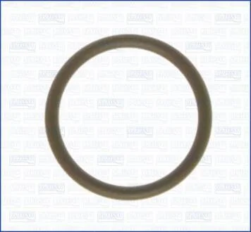 Кільце ущільнювальне RENAULT AJUSA 16016100