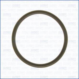 Прокладка трубки охолоджувальної рідини Ford Transit (19-) 2.0d AJUSA 16525500