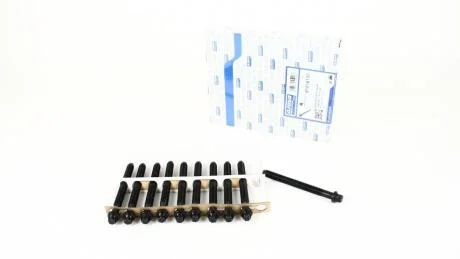 Компл. болтів ГБЦ RENAULT MEGANE II, III 1.9d (10шт) AJUSA 81016100