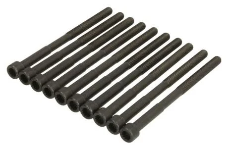 Компл. болтів ГБЦ HYUNDAI ACCENT IV 1.4i/ KIA CEED (06-12) 1.4, 1.6i (10шт) AJUSA 81026800