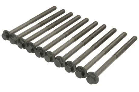 Компл. болтів ГБЦ CHEVROLET CAPTIVA (11-) 2.4i (10шт) AJUSA 81029200