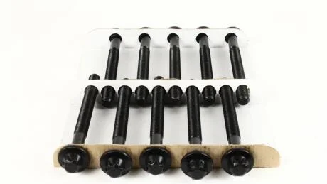 Компл. болтів ГБЦ RENAULT Master/Trafic 2.5dCi (00-) (10шт) AJUSA 81031600