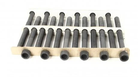 Компл. болтів ГБЦ VW TRANSPORTER T5, TOUAREG 2.5TDI (12шт) AJUSA 81039000