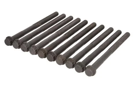 Компл. болтів ГБЦ TOYOTA RAV 4 III, IV 2.2d (10шт) AJUSA 81043200