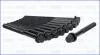Компл. болтів ГБЦ HYUNDAI SANTA FE III, IV 2.0, 2.2d (10шт) AJUSA 81052900 (фото 2)
