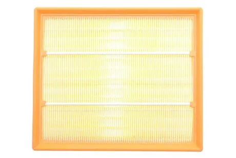 ЕФ повітряний (Ford) ALPHA FILTER AF1607