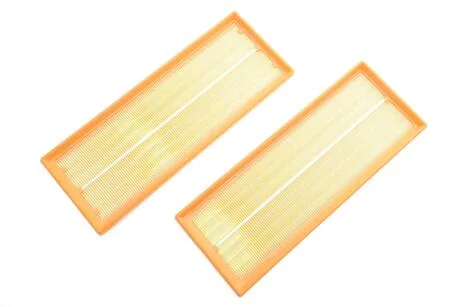 ЕФ повітряний (MB E-240, C-240) (2 шт) ALPHA FILTER AF1678