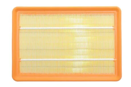 Фільтр повітряний HYUNDAI TUCSON 2.0 CRDI 04- ALPHA FILTER AF1681