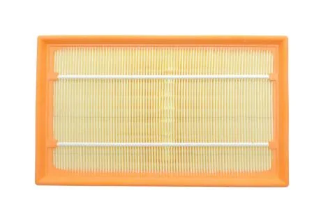 Фільтр повітряний Peugeot 3008 2,0L 09-, 307 2,0L 01-, 308 2,0L 07-, 5008 2,0L 09- / Citroen C4 2,0L 06-, DS4 2,0L 11-, DS5 2,0L 11- Альфа ALPHA FILTER AF1854