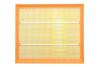 Фільтр повітряний Peugeot Partner 1,2L 16-, 208/2008 1,2L 13-, 308/3008 1,2L 15- / Citroen Berlingo 1,2L 16-, C3 1,2L Альфа ALPHA FILTER AF1869 (фото 1)
