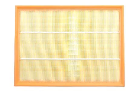 ЕФ повітряний (LAND ROVER Range Rover III, Discovery 3-4) ALPHA FILTER AF1889