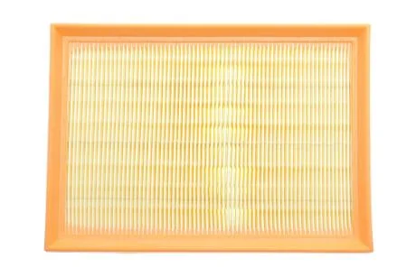 ЕФ повітряний ALPHA FILTER AF1915