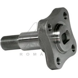 Маточина колеса (цапфа) задн Renault Logan (04-), Sandero (08-) ASAM 30247