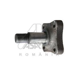 Маточина колеса (цапфа) задн Renault Logan I, II, Clio IV, Duster, Kangoo II, Lodgy ASAM 30319