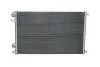 Радіатор кондиціонера Renault Megane II, Scenic II (02-) ASAM 32165 (фото 1)