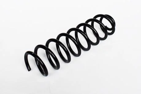 Пружина задня Renault Megane II, Scenic II ASAM 73788