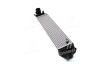 Інтеркулер FORD KUGA (CBS) (13-) 2.0 TDCi (Ava) AVA COOLING FD4691 (фото 1)