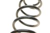 Пружина SEAT/SKODA/VW Ibiza/Fabia/Polo &quot;R &quot;99-21 BILSTEIN 36-300075 (фото 2)