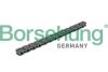 Комплект ланцюга привідного грм Borsehung B18228 (фото 1)