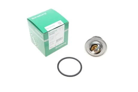 Термостат Borsehung B18259