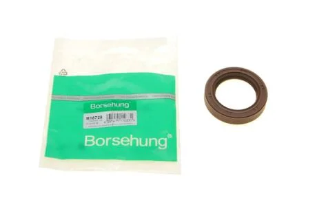 Сальник Borsehung B18729
