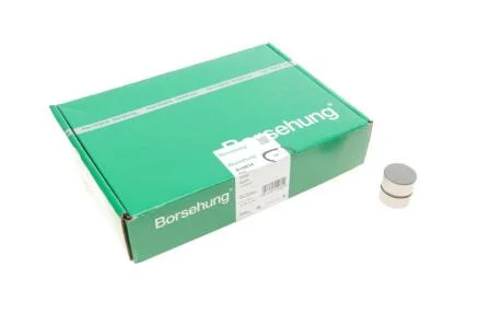 Гідрокомпенсатор Borsehung B18834