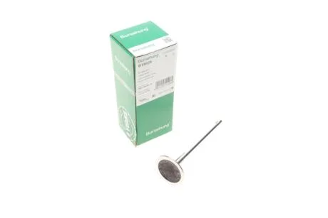 Клапан впускний Borsehung B19026