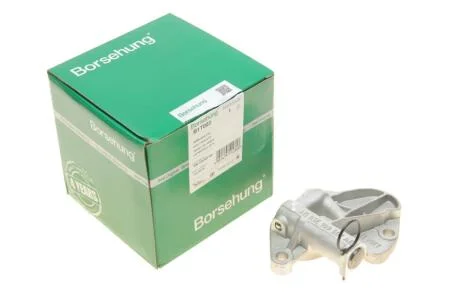 Натягувач ланцюга ГРМ Borsehung B1T003