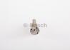 Розпилювач дизель DLLA 135 P 250 BOSCH 0433171200 (фото 2)