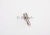 Розпилювач BOSCH 0 433 171 303 (фото 1)