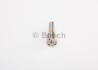 Розпилювач BOSCH 0433171470 (фото 3)