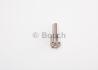 Розпилювач BOSCH 0433171575 (фото 3)