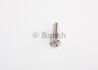 Розпилювач BOSCH 0433171576 (фото 3)