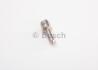 Розпилювач BOSCH 0433171699 (фото 1)