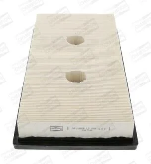 Фільтр повітряний Audi A3 (03-13)/Skoda Octavia II (04-13) CHAMPION CAF100869P