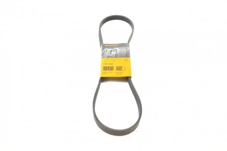 Ремінь генератора поліклиновий CONTINENTAL Contitech 5PK1060