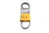Ремінь генератора поліклиновий CONTINENTAL 5PK1110 5PK1110