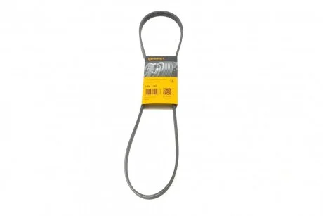 Ремінь генератора поліклиновий CONTINENTAL Contitech 5PK1145