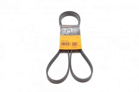 Ремінь генератора поліклиновий CONTINENTAL Contitech 5PK1646
