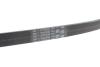 Дорiжковий ремінь Contitech 5PK926 ELAST (фото 2)