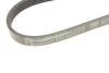 Ремінь генератора поліклиновий Contitech 5PK934 (фото 4)