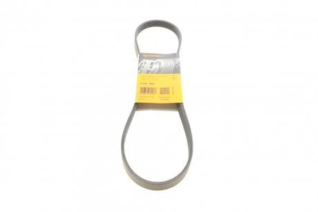 Ремінь полікліновий Contitech 5PK955
