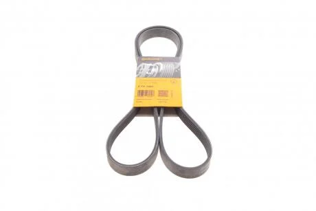 Ремінь полікліновий Contitech 6PK1685