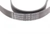 Ремінь генератора поліклиновий Contitech 6PK1815 (фото 2)