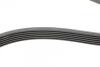 Ремінь полікліновий MERCEDES-BENZ 190 (W201)E 2.0 01/85-08/93 Contitech 6PK1980 (фото 2)